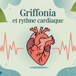 griffonia et rythme cardiaque effet apaisant cœur et système nerveux
