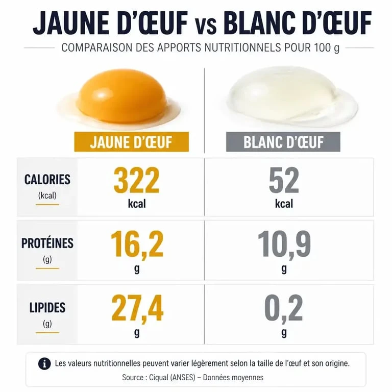 Comparaison nutritionnelle entre le jaune et le blanc d'œuf : calories et nutriments