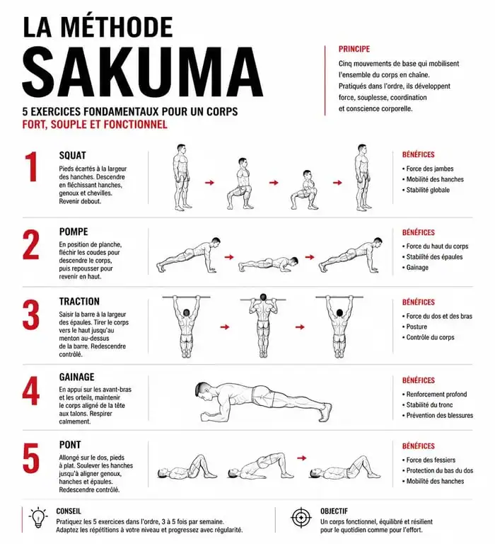 Infographie des 5 exercices de la méthode Sakuma pour tonifier le corps et améliorer la posture.