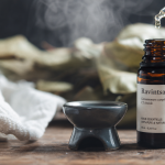 Bienfaits du ravintsara : huile essentielle d’hiver pour respirer
