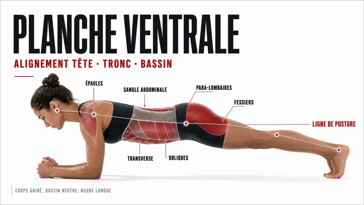 Faire du gainage tous les jours : schéma de la planche correcte et des muscles sollicités